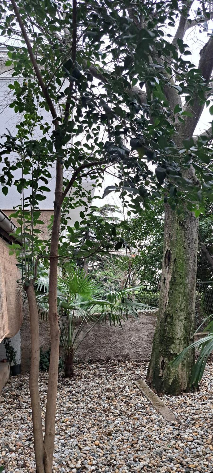 Bamboo Oasis Apartment With Terrace In The Garden And Free Parking, ริเยกา ภายนอก รูปภาพ